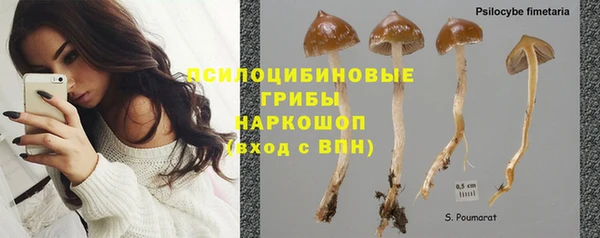 первитин Богданович