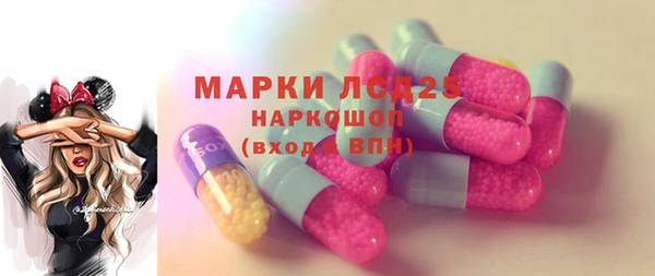 шишки Богородицк