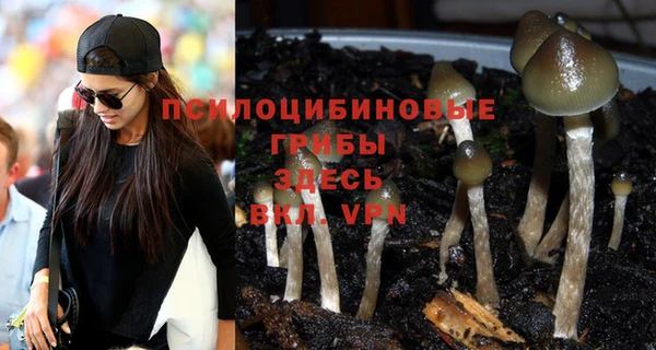 шишки Богородицк
