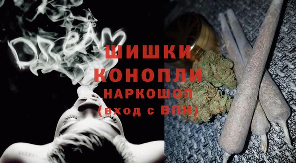 МДПВ Богородск