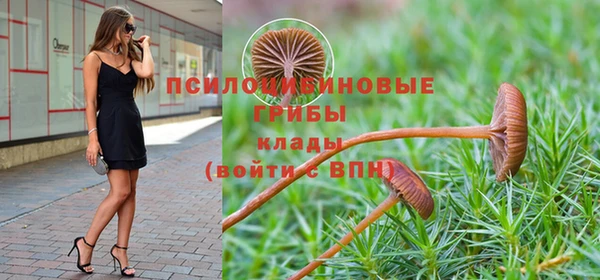 первитин Богданович