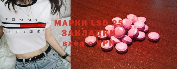 шишки Богородицк
